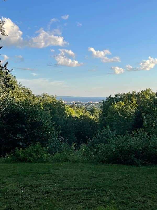 Airport Lookout Park - Image 2