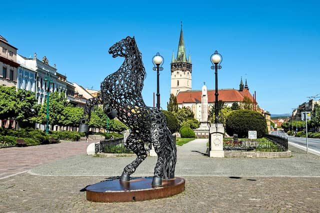 Prešovský Morgan - Image 1
