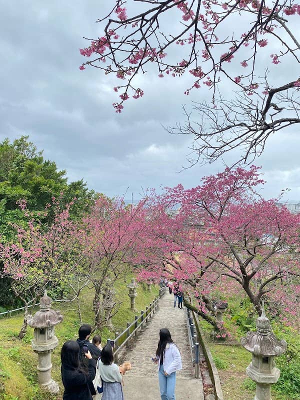 Nago Castle Park - Image 1