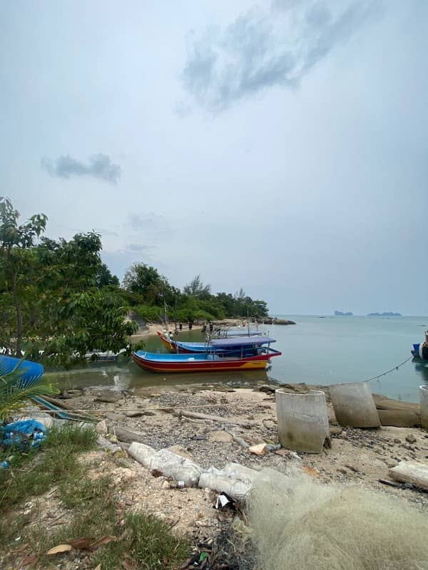 Jetty Dolphin Teluk Yu - Image 1