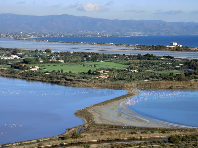 Molentargius Pond - Image 1