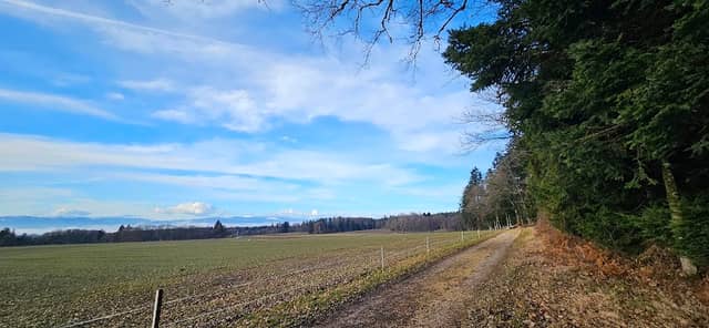 Mittelpunkt des Kantons Waadt - Image 1