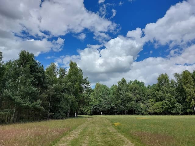 Drax Skylark Centre - Image 1