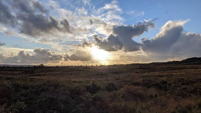 Pinesprings Nature Reserve - Image 2