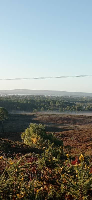 Pinesprings Nature Reserve - Image 1