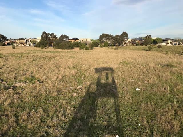 Themeda Grasslands - Image 2