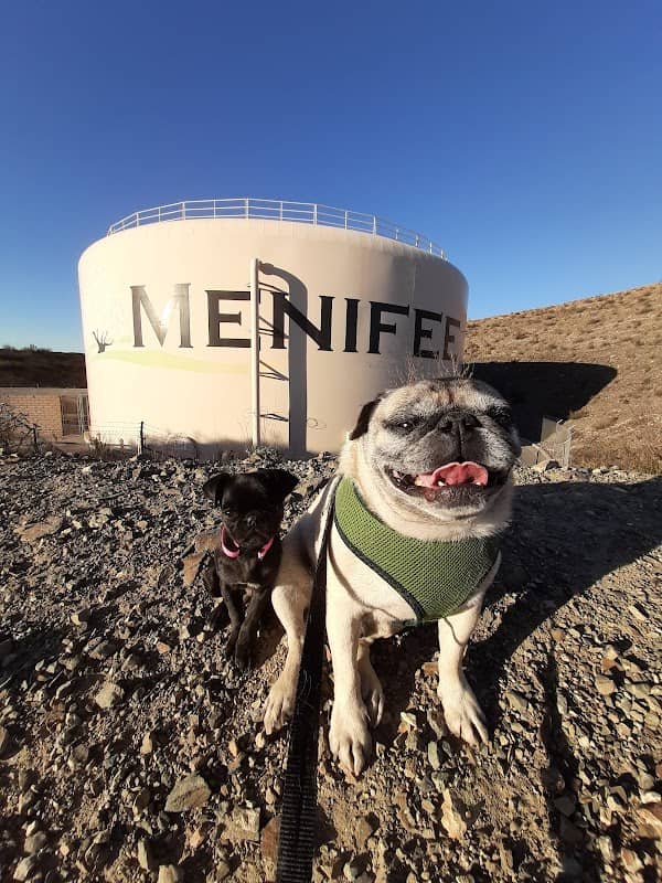 Menifee logo - Image 3