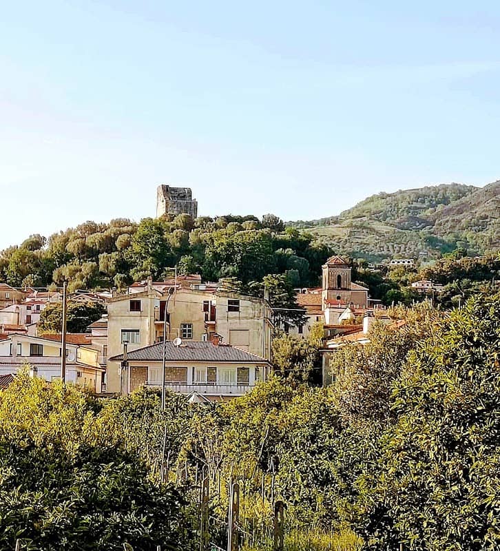Panorama - Image 1