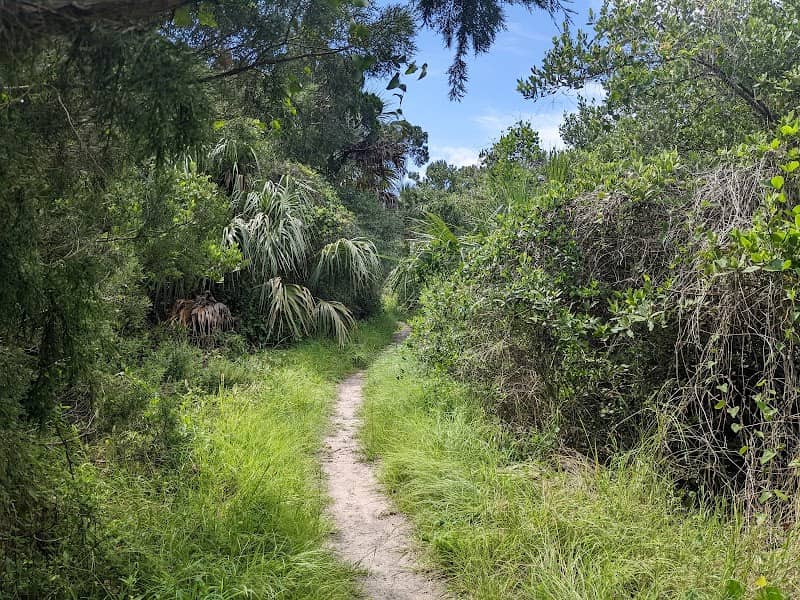 Cedar Key Railroad Trestle Nature Trail - Image 2