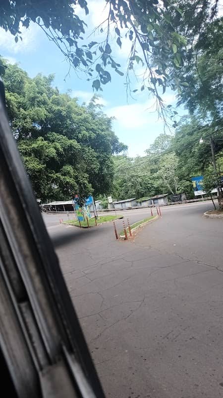 Desvío de Mercedes Umaña - Image 2