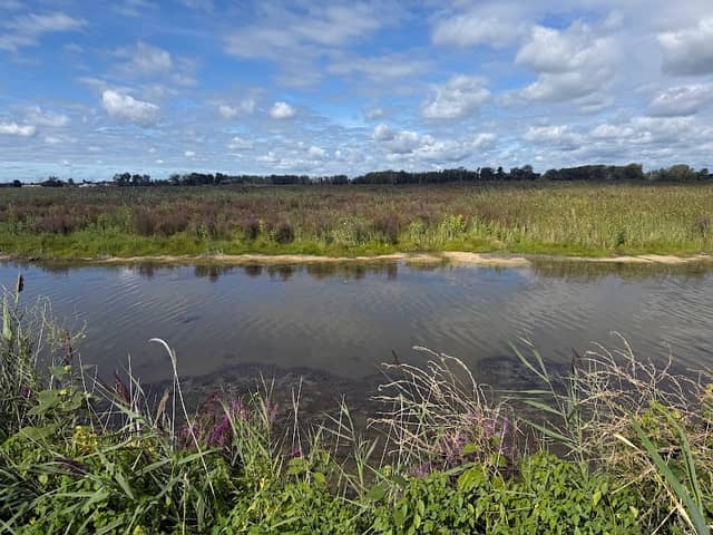 Erie Marsh Preserve - Image 1