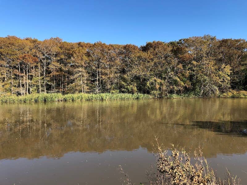 Turtle Bayou Nature Preserve - Image 2