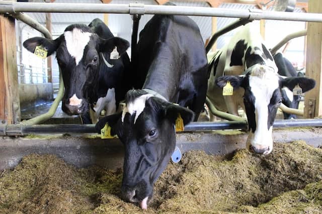 EcoFarm - Image 1