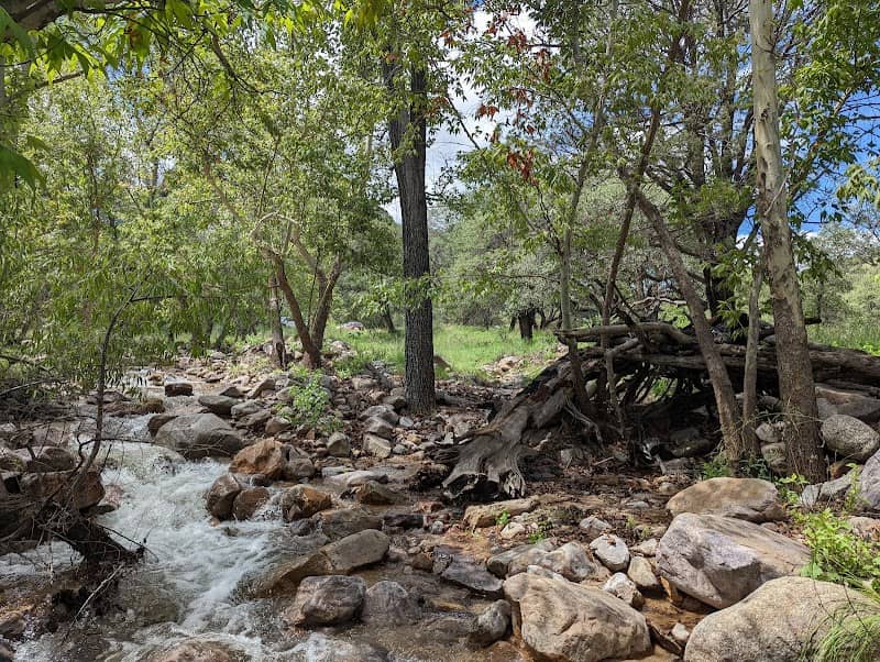 Carr Canyon Picnic Area - Image 1