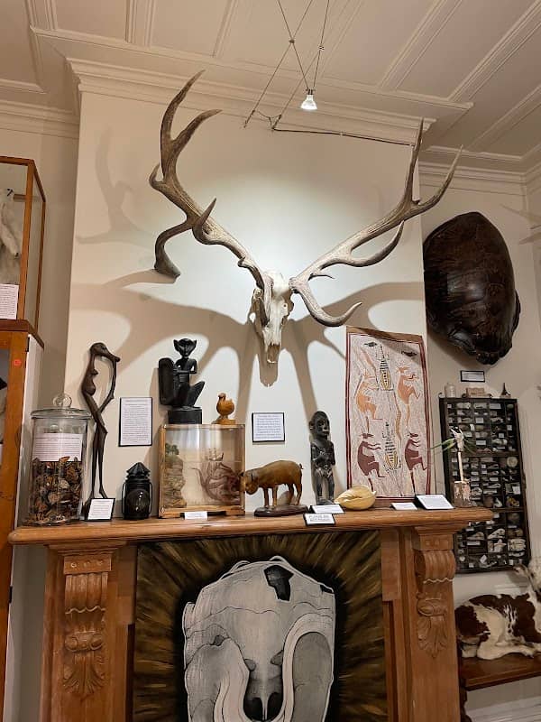 The Dunedin Museum of Natural Mystery - Image 2