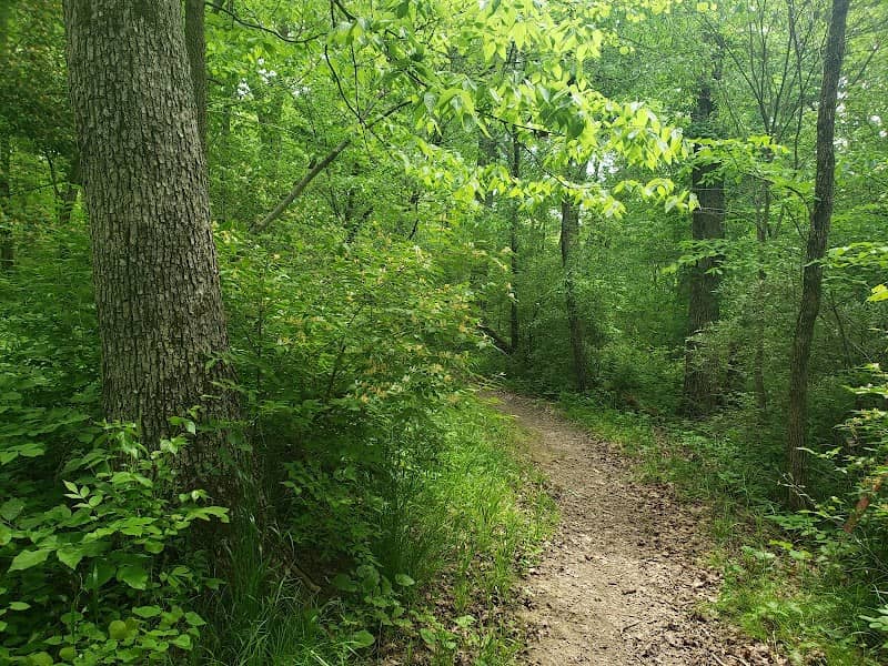 Deer Creek State Park - Image 1