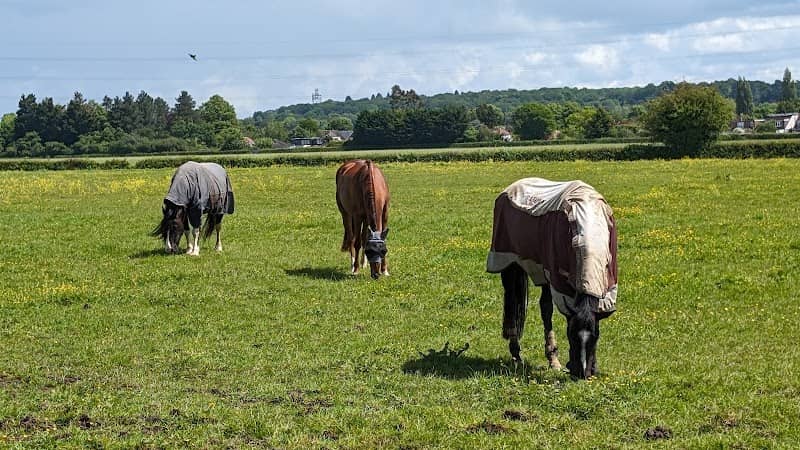 Prestwick Road Meadows - Image 1