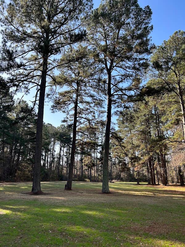 Ward Park - Image 2