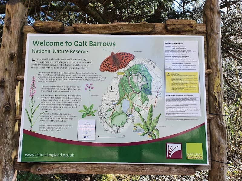 Gait Barrows National Nature Reserve - Image 1