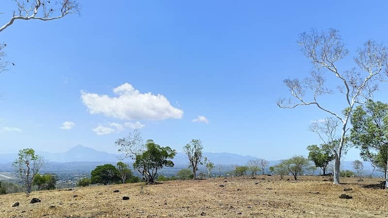 Bukit Tepel - Image 1