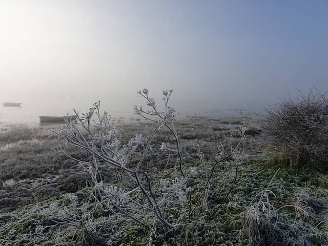 Nature reserve - Image 3