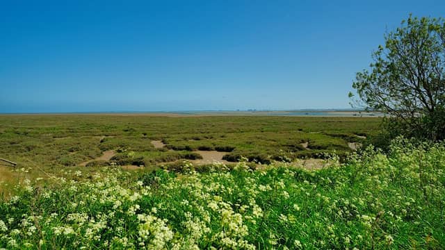 Nature reserve - Image 1