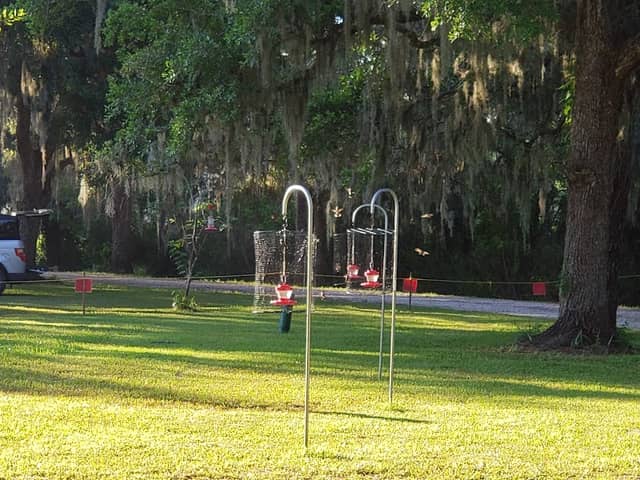 Gulf Coast Bird Observatory - Image 3