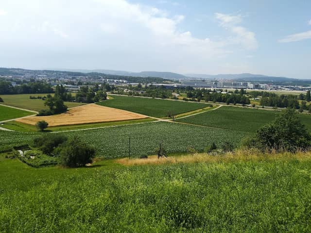 Bench with a view - Image 2