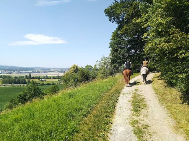 Bench with a view - Image 1