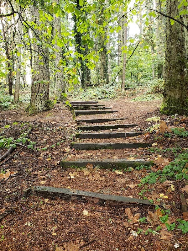 Rotary Nature Preserve at Tice Woods - Image 1