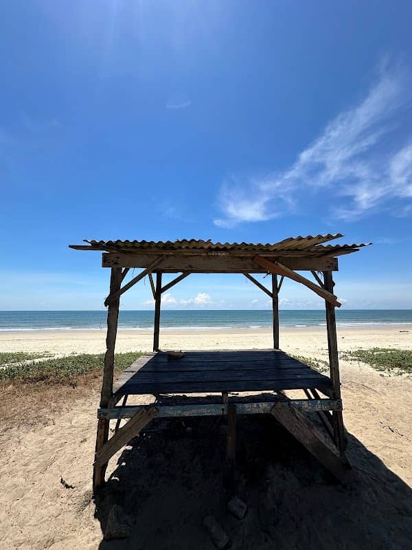 Pokok Besar Pantai Pandak - Image 1