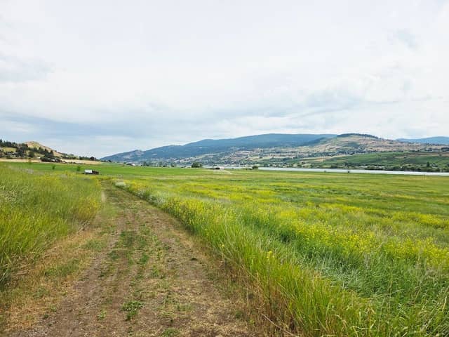 Swan Lake Nature Reserve & Trails - Image 3