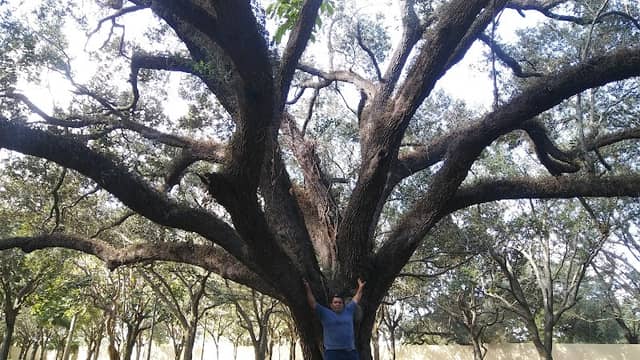 Chittohatchee Park At Honey Hill - Image 2