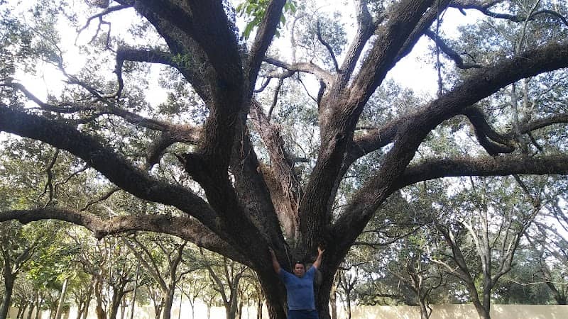 Chittohatchee Park At Honey Hill - Image 2