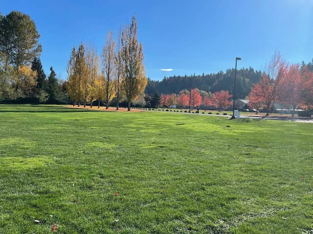 Ron Regis Park - Image 3