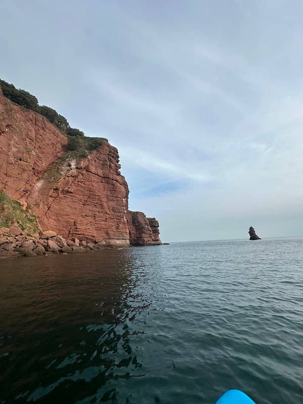 Seal Cove - Image 1