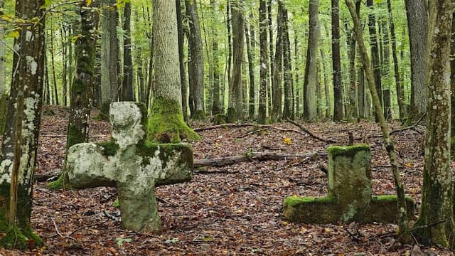 Pfaffensteine - Image 1