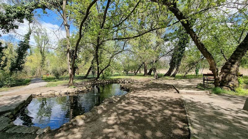Park szökőkúttal - Image 1