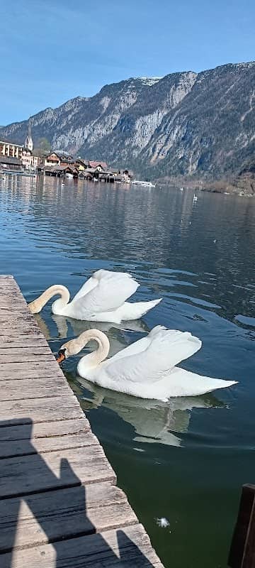 Hallstatt boathouses - Image 1