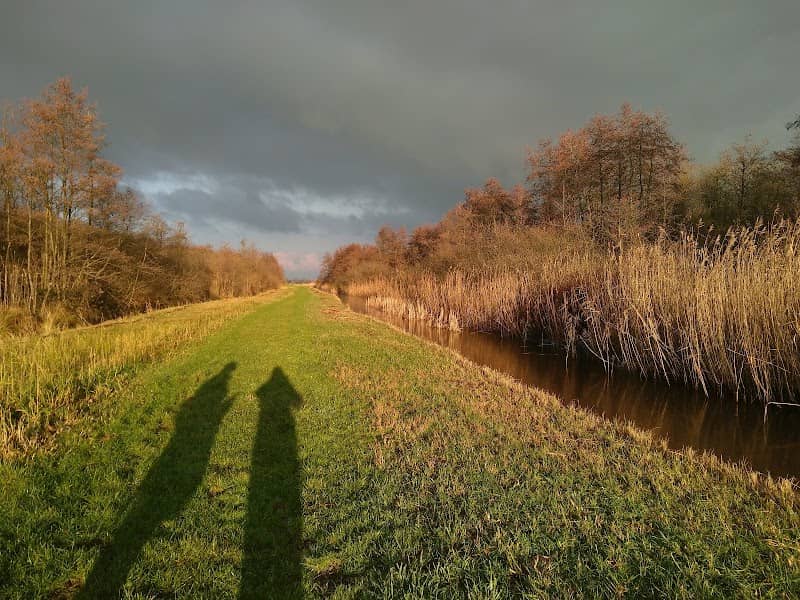 Gagelpolder - Image 2