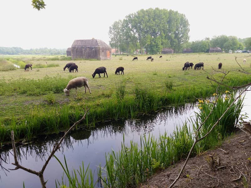 Gagelpolder - Image 1