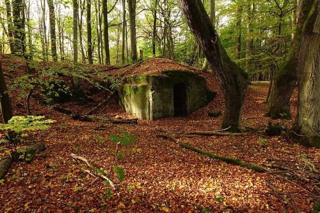 Ohrwaschl - Image 1