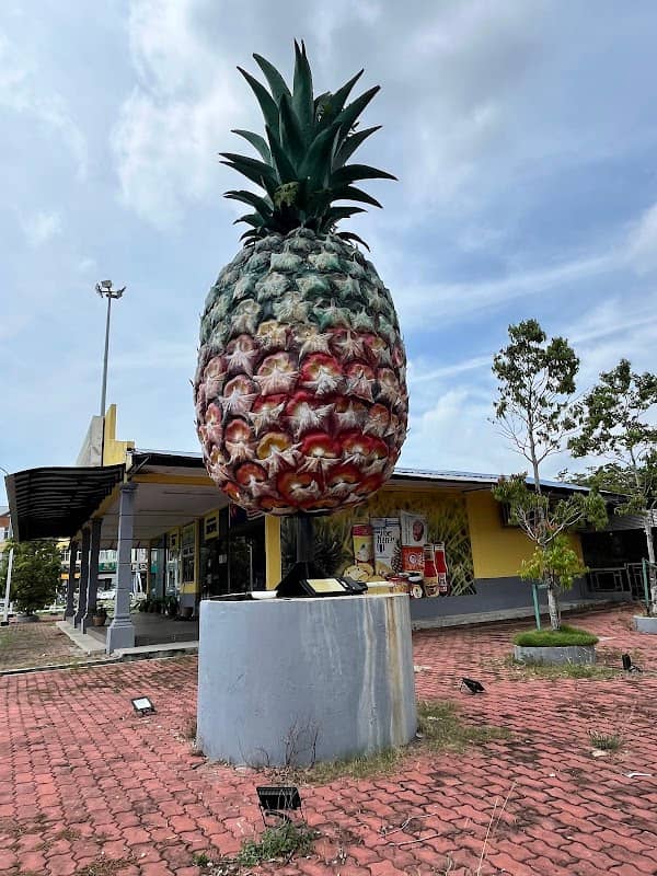 Pineapple Pontian - Image 1