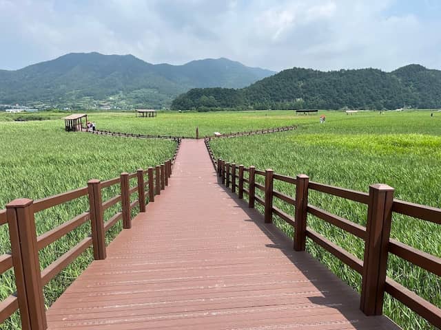 Suncheon Bay Nature Reserve - Image 2