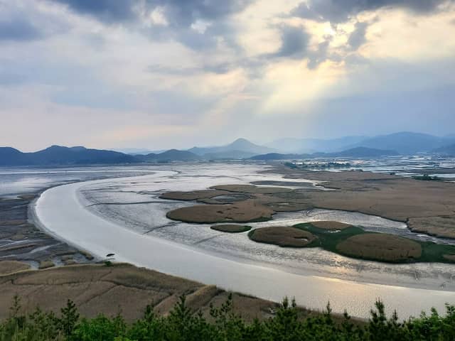 Suncheon Bay Nature Reserve - Image 1