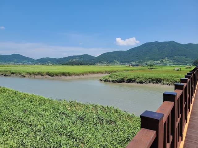 Suncheon Bay Nature Reserve - Image 3