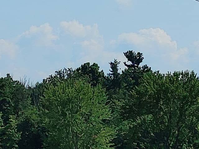 Eagle Observation Area - Stark Parks - Image 1