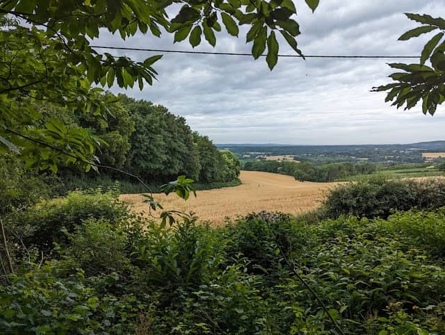 Gover Hill - Image 2