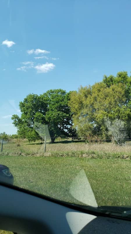 Oak Creek Bird Spot - Image 2