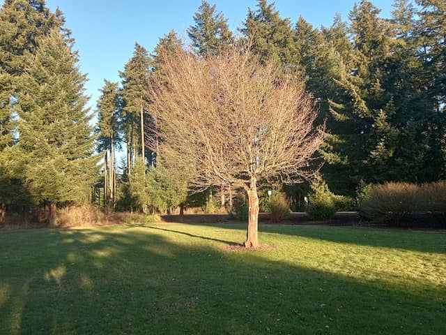 I-5 Park - Image 1